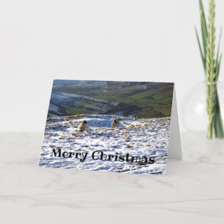 Cartes Pour Fêtes Annuelles Sheep on a Snowy Field