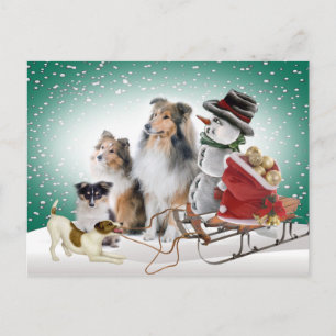 Cartes Pour Fêtes Annuelles Sheltie, Jack Russell et Snowman Xmas