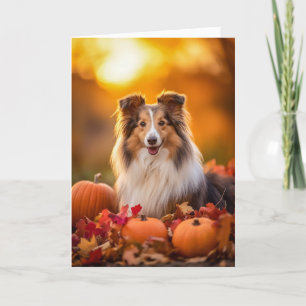 Cartes Pour Fêtes Annuelles Sheltie Thanksgiving
