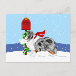 Cartes Pour Fêtes Annuelles Shelty Christmas Mail Blue Merle