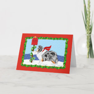 Cartes Pour Fêtes Annuelles Shelty Christmas Mail Blue Merle