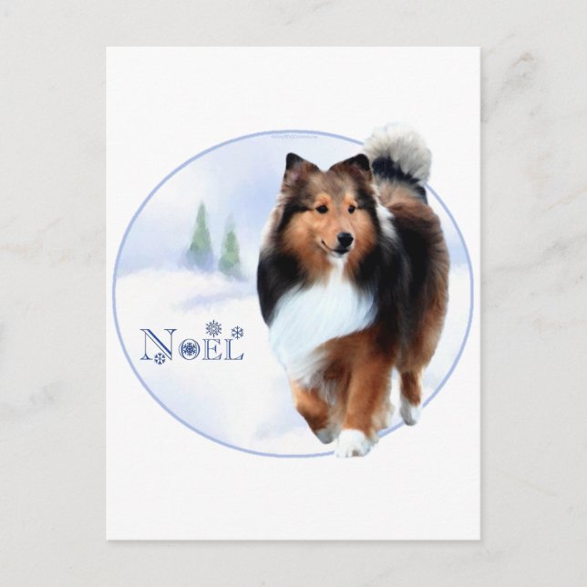 Cartes Pour Fêtes Annuelles Shetland Sheepdog Noel (Devant)