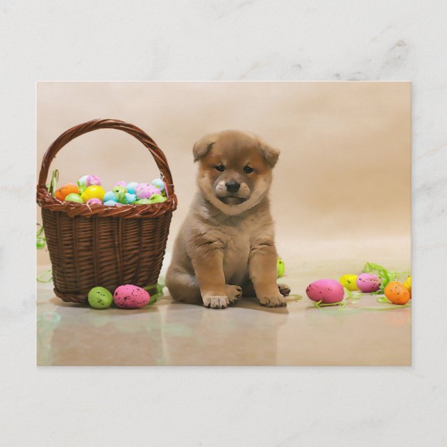 Cartes Pour Fêtes Annuelles Shiba Inu de Pâques (Devant)