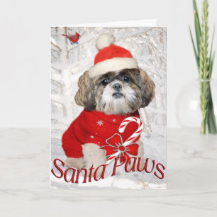 Cartes Pour Fêtes Annuelles Shih Tzu