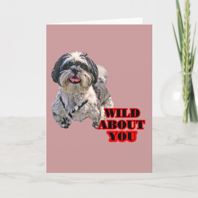 Cartes Pour Fêtes Annuelles Shih Tzu (Devant)