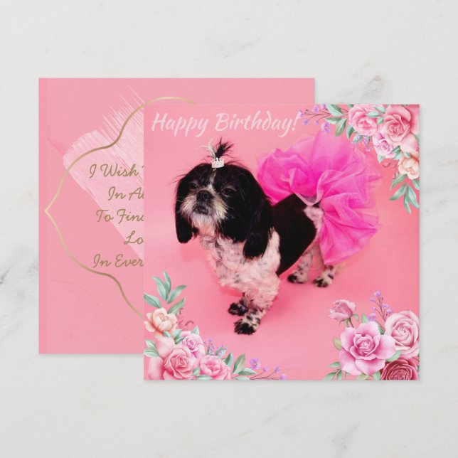 Cartes Pour Fêtes Annuelles Shih Tzu (Devant / Derrière)