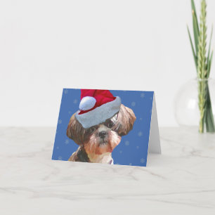 Cartes Pour Fêtes Annuelles Shih Tzu Betsy