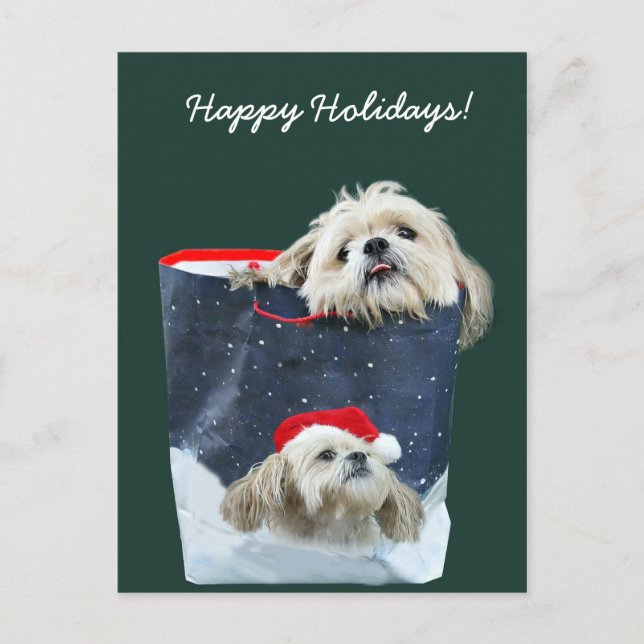 Cartes Pour Fêtes Annuelles Shih Tzu cadeau de Noël (Devant)