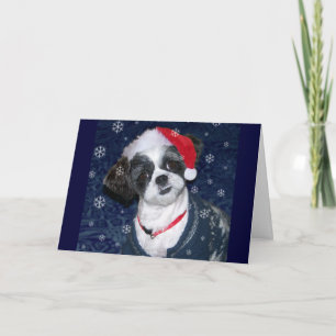 Cartes Pour Fêtes Annuelles Shih Tzu Dog