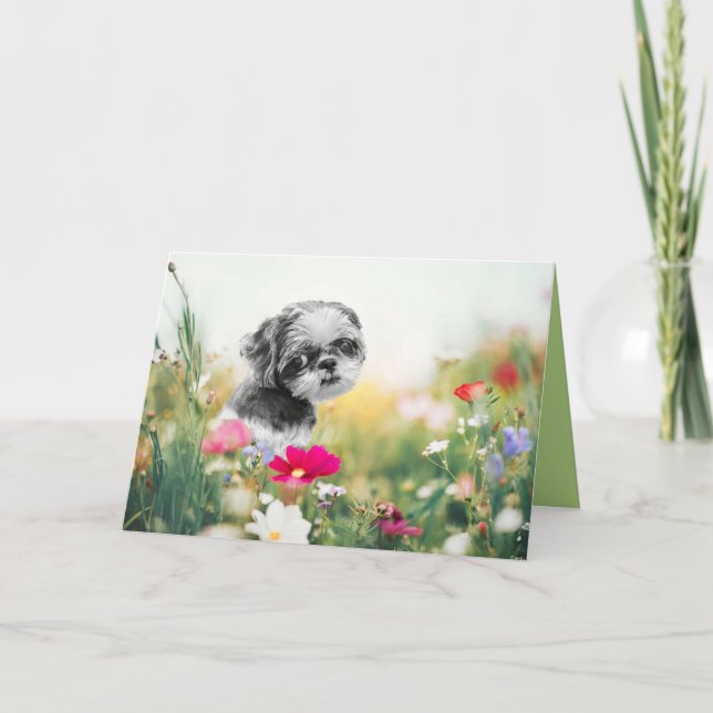 Cartes Pour Fêtes Annuelles Shih Tzu Girl and Flower Field Grey Card (Devant)