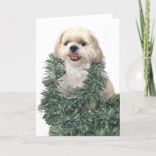 Cartes Pour Fêtes Annuelles Shih Tzu Noël