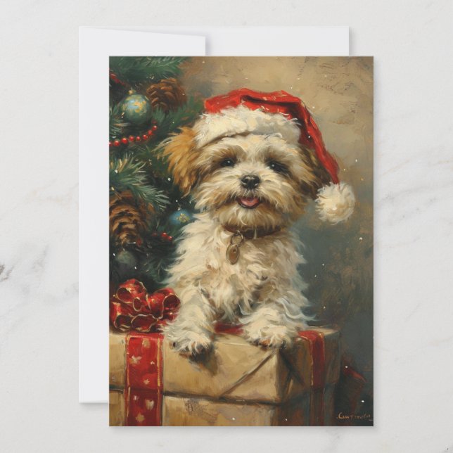 Cartes Pour Fêtes Annuelles Shih Tzu Noël (Devant)