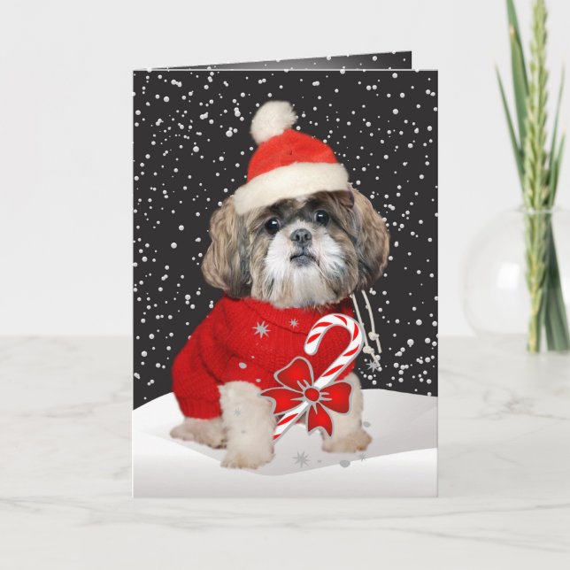 Cartes Pour Fêtes Annuelles Shih Tzu Père Noël (Devant)