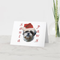 Shih Tzu Père Noël Paws