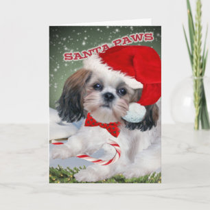 Cartes Pour Fêtes Annuelles Shih Tzu Père Noël Paws