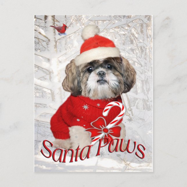 Cartes Pour Fêtes Annuelles Shih Tzu Père Noël Paws cadeaux (Devant)