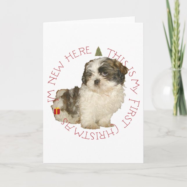 Cartes Pour Fêtes Annuelles Shih Tzu Puppy Premier Noël (Devant)