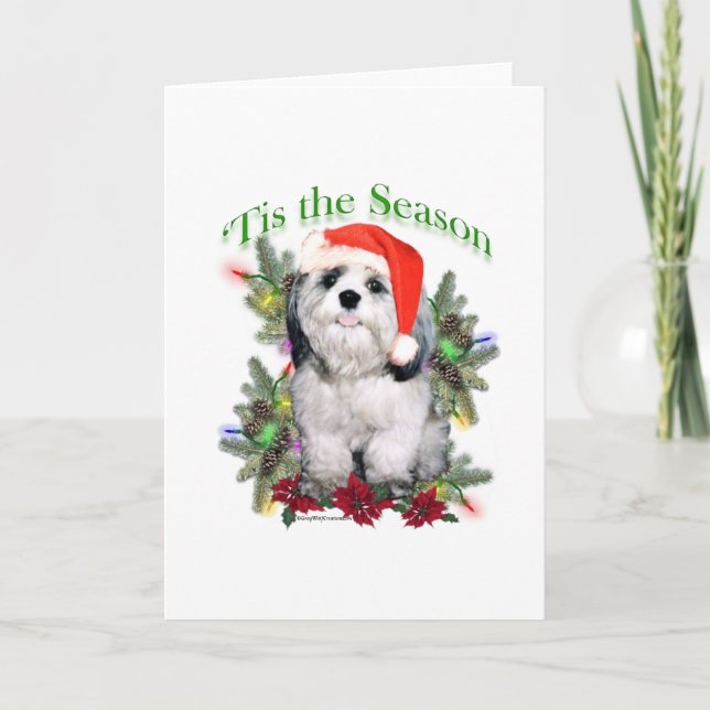 Cartes Pour Fêtes Annuelles Shih Tzu 'Tis the Season (Devant)