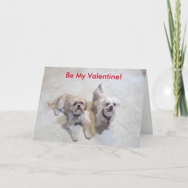 Cartes Pour Fêtes Annuelles Shih Tzu Valentine (Devant)