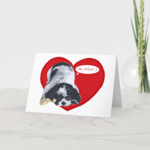 Cartes Pour Fêtes Annuelles Shih Tzu Valentines