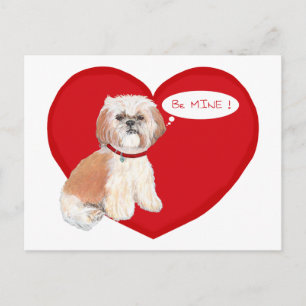 Cartes Pour Fêtes Annuelles Shih Tzu Valentines