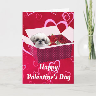 Cartes Pour Fêtes Annuelles Shih tzu Valentine's Day Card, Chien