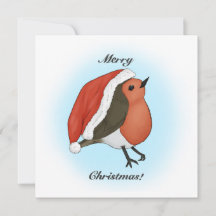 Shy Santa Robin