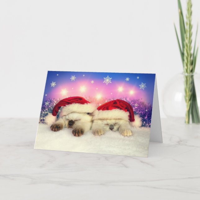 Cartes Pour Fêtes Annuelles Siamese Kitten : Père Noël Twinsies (Devant)
