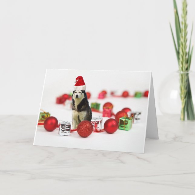 Cartes Pour Fêtes Annuelles Sibérie Husky Noël avec boîte cadeau ornement (Devant)