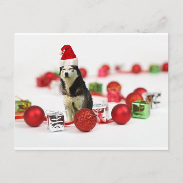 Cartes Pour Fêtes Annuelles Sibérie Husky Noël avec boîte cadeau ornement (Devant)