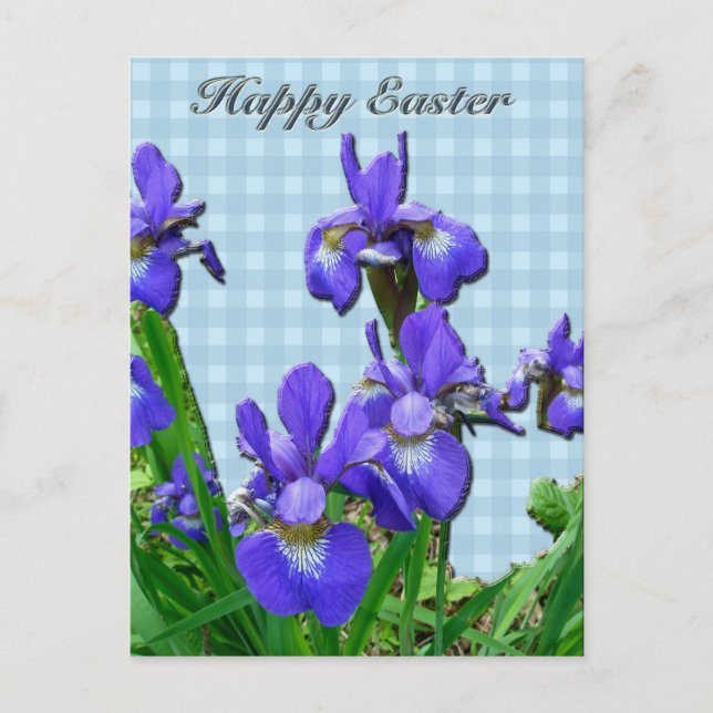 Cartes Pour Fêtes Annuelles Sibérie Iris heureux Pâques Coordonnées (Devant)