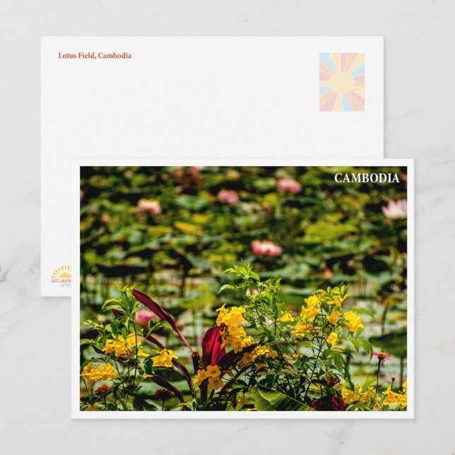 Cartes Pour Fêtes Annuelles Siem Reap Lotus Field Cambodia Postcard (Devant / Derrière)
