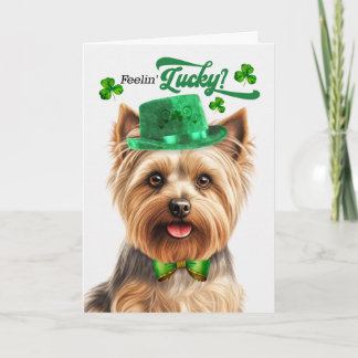 Cartes Pour Fêtes Annuelles Silky Terrier se sent chanceux à la St Patrick