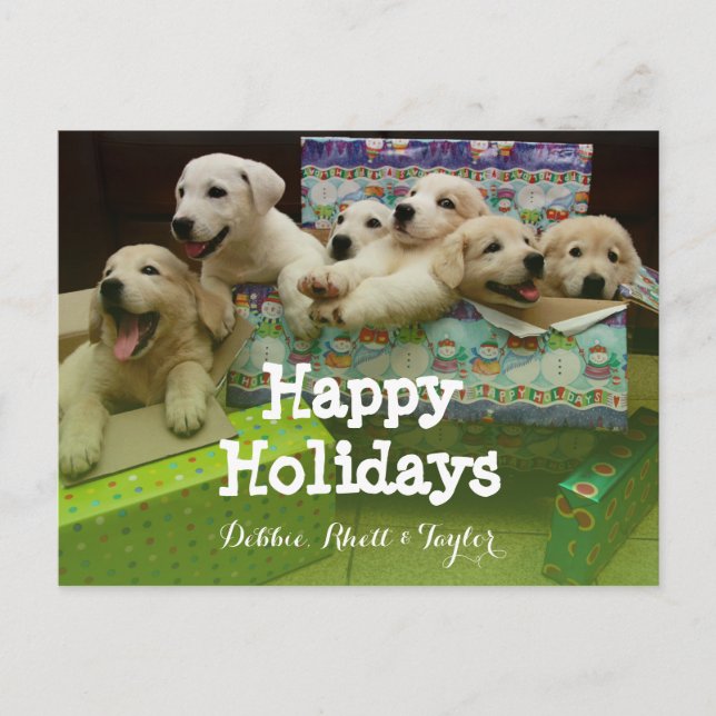 Cartes Pour Fêtes Annuelles Six chiots assis dans des boîtes de Noël (Devant)