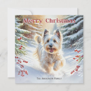Cartes Pour Fêtes Annuelles Skye Terrier Chien Dans Neige Joyeux Noël