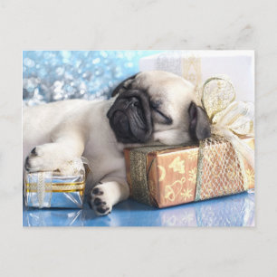 Cartes Pour Fêtes Annuelles Sleeping puppy pug and Christmas venin