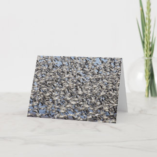 Cartes Pour Fêtes Annuelles Snow Goose migration, Washington State, États-Unis