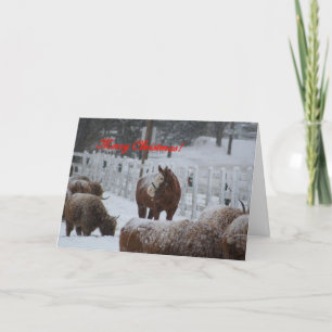 Cartes Pour Fêtes Annuelles Snow horse, Merry Christmas !