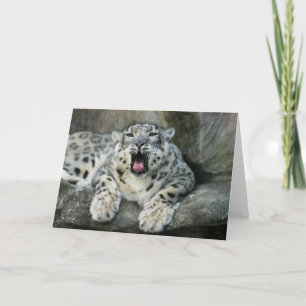 Cartes Pour Fêtes Annuelles SnowLeopardBCR007