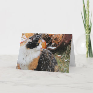 Cartes Pour Fêtes Annuelles Snowy Calico Cat add your text
