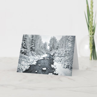 Cartes Pour Fêtes Annuelles Snowy San Miguel à Telluride Colorado