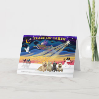 Cartes Pour Fêtes Annuelles Soleil levant-4 des Cairn Terriers