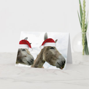 Cartes Pour Fêtes Annuelles Souhaits d'âne de Wonkey