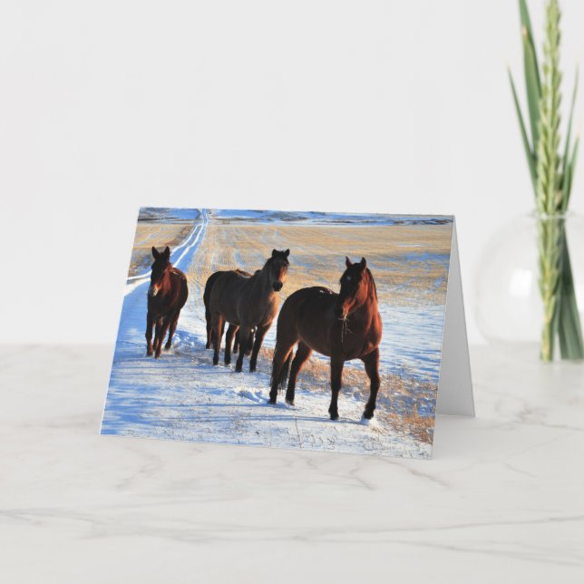 Cartes Pour Fêtes Annuelles Souhaits de Noël (Devant)