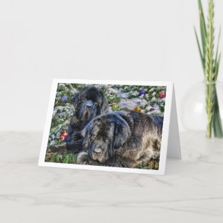 Cartes Pour Fêtes Annuelles Souhaits de vacances de Newfie