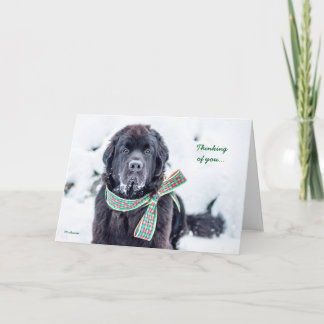 Cartes Pour Fêtes Annuelles Souhaits de vacances de Newfie pour vous