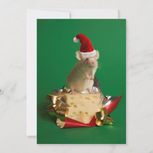 Cartes Pour Fêtes Annuelles Souris avec le casquette de Père Noël avec du