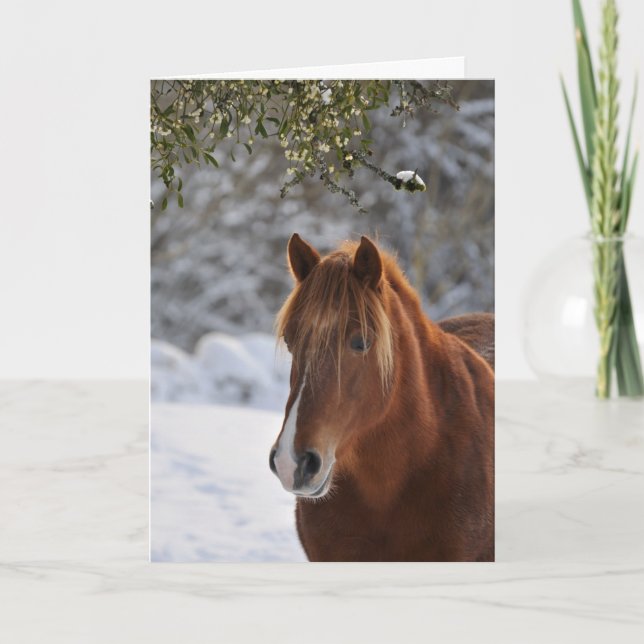 Cartes Pour Fêtes Annuelles Sous le gui, Noël de cheval (Devant)