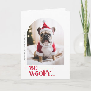 Cartes Pour Fêtes Annuelles Soyez Woofy Chien Drôle Animalerie Photo de Noël P