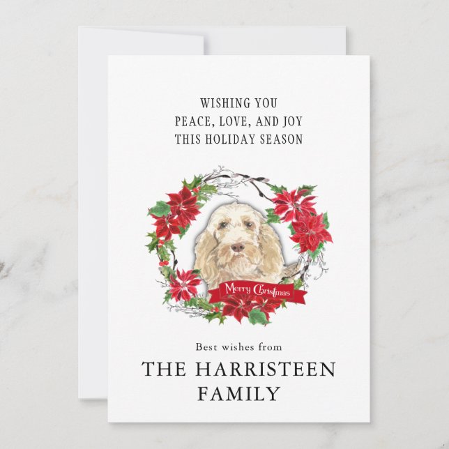 Cartes Pour Fêtes Annuelles Spinone Italiano Aquarelle Poinsettia Noël (Devant)